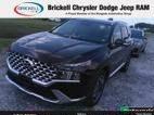 HYUNDAI SANTA FE 2023 5NMS44AL3PH525710 image